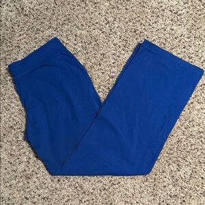 Danskin Now relaxed size Medium petite (I’m 5’4 and fit great) blue track pants